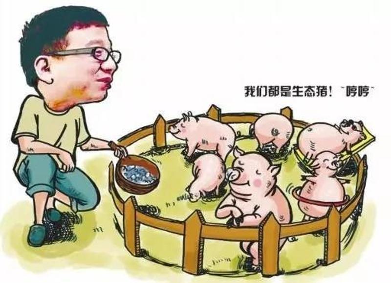 互聯(lián)網(wǎng)豬肉最新消息(騰訊豬肉新聞最新消息)