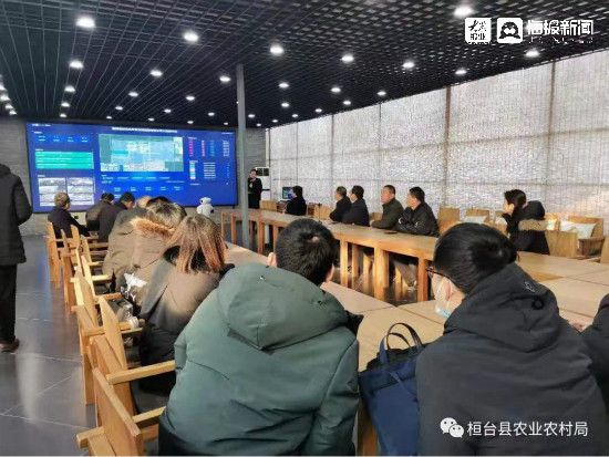 淄博桓臺網站建設方案(淄博桓臺建設工程有限公司)