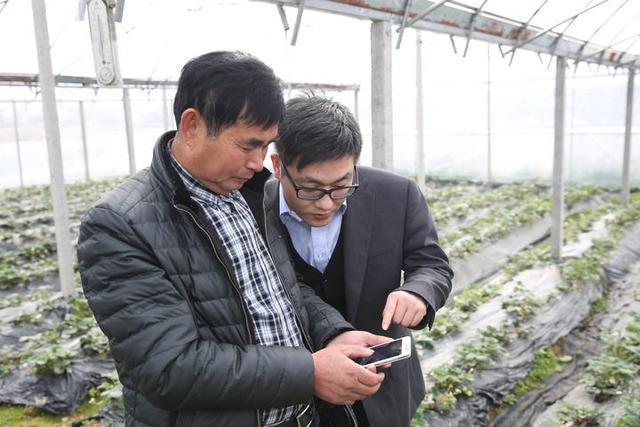 互聯(lián)網(wǎng)農(nóng)業(yè)產(chǎn)業(yè)新聞(互聯(lián)網(wǎng)農(nóng)業(yè)產(chǎn)業(yè)新聞稿件)