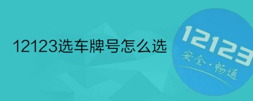 選車牌號網(wǎng)站建設(車牌選號網(wǎng)站是什么)
