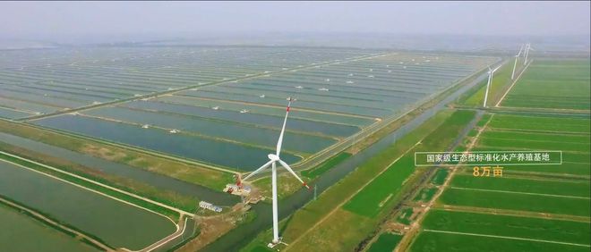 互聯網漁業最新消息(互聯網漁業最新消息公布)