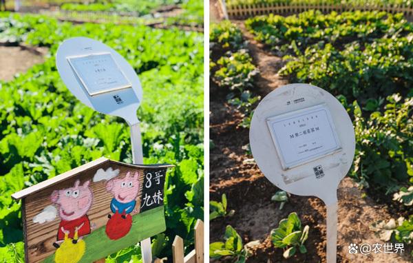 運城智慧農場小程序開發(運城智慧農場小程序開發方案)