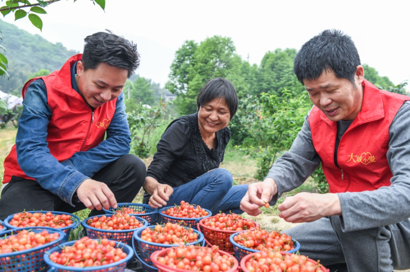 互聯(lián)網(wǎng)果農(nóng)新聞(互聯(lián)網(wǎng)+果農(nóng)創(chuàng)新創(chuàng)業(yè)計(jì)劃書)