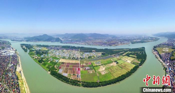 中國(guó)互聯(lián)網(wǎng)新聞中心左鋼(中國(guó)互聯(lián)網(wǎng)新聞中心中國(guó)網(wǎng))