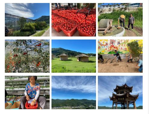 閬中互聯(lián)網新聞(閬中互聯(lián)網新聞網)