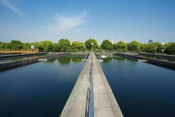 掇刀區定安網站建設招標(掇刀區定安網站建設招標公告)