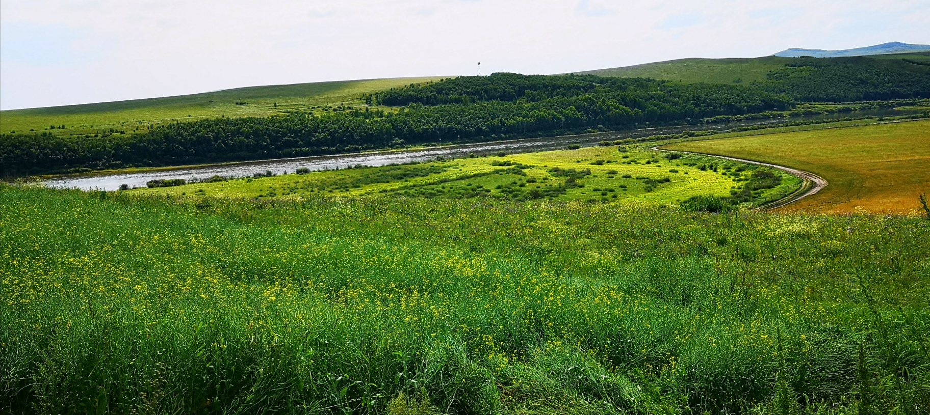 額爾古納網站建設方案(額爾古納政府網站通知公告)