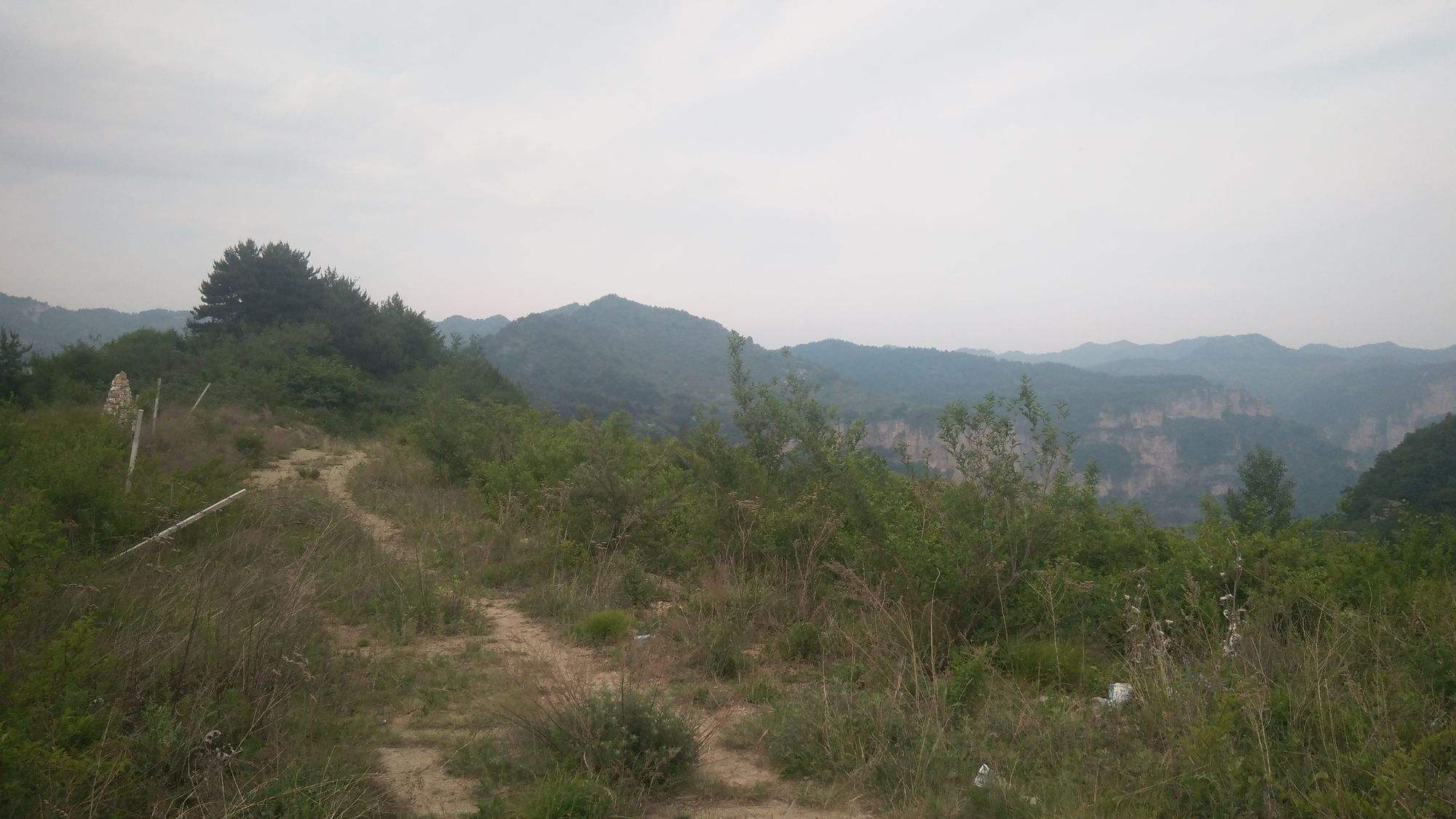 山西平順網站建設(平順縣政府采購網上商城)