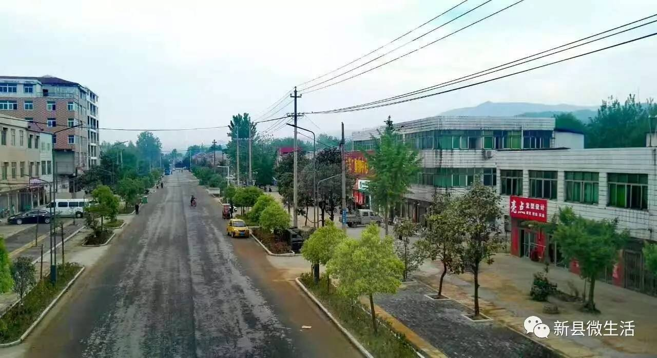 信陽市新縣新聞網站建設(信陽市新縣新聞網站建設中標公告)