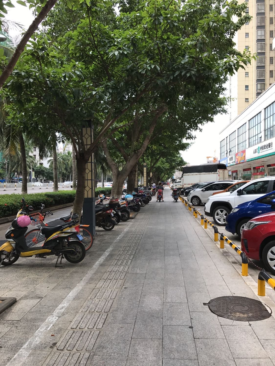 海口網站建設路(海口網站建設解決方案)