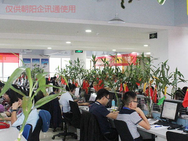 朝陽市網(wǎng)站建設(shè)(朝陽市網(wǎng)上辦事大廳)